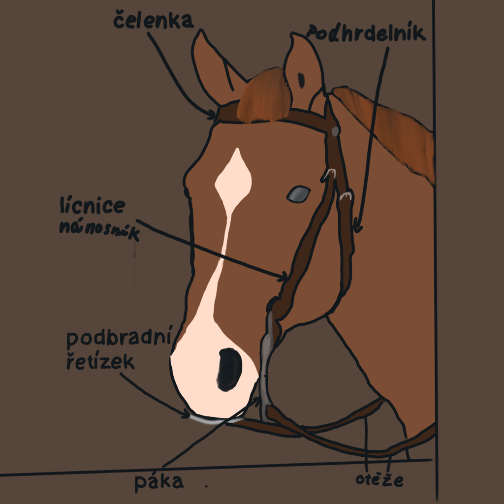 popis westernové uzdečky